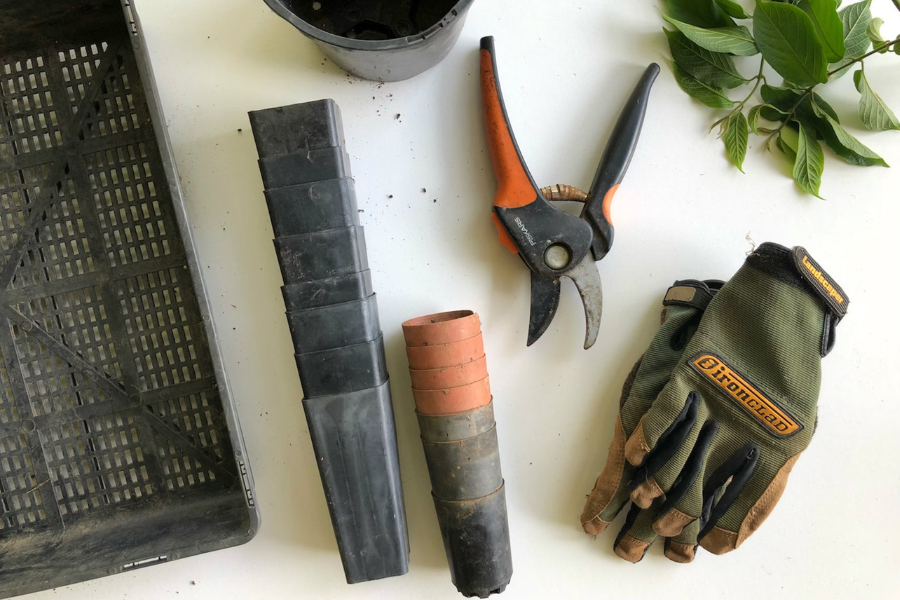 Top 5 Essential Gardening Tools for Indoor Potted Plants