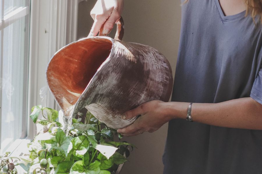Mastering Indoor Plant Care: Watering Tips for Pots Without Drainage Holes