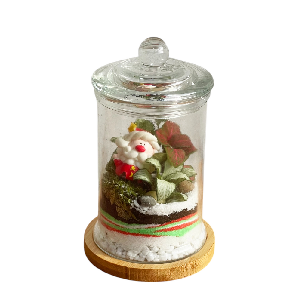 Christmas Olaf Terrarium