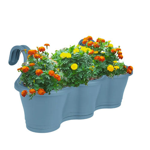 Assorted Marigold in Vintage Blue Corsica Easy Hanger Trio