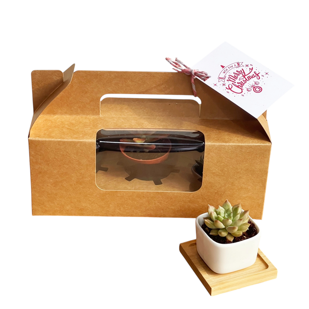 Christmas Premium 3pc Succulent Gift Box