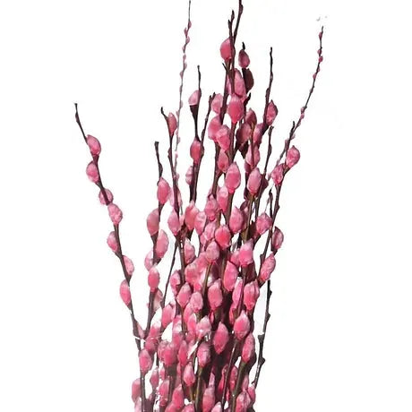 Preserved Pussy Willow with CNY Deco in Red Basket (旺财之花) (1.2mH)