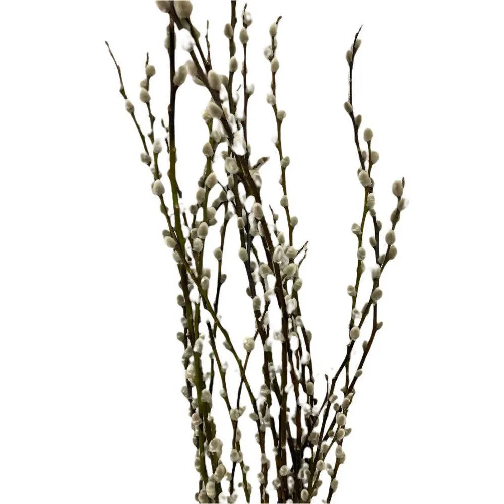 Preserved Pussy Willow with CNY Deco in Red Basket (旺财之花) (1.2mH)