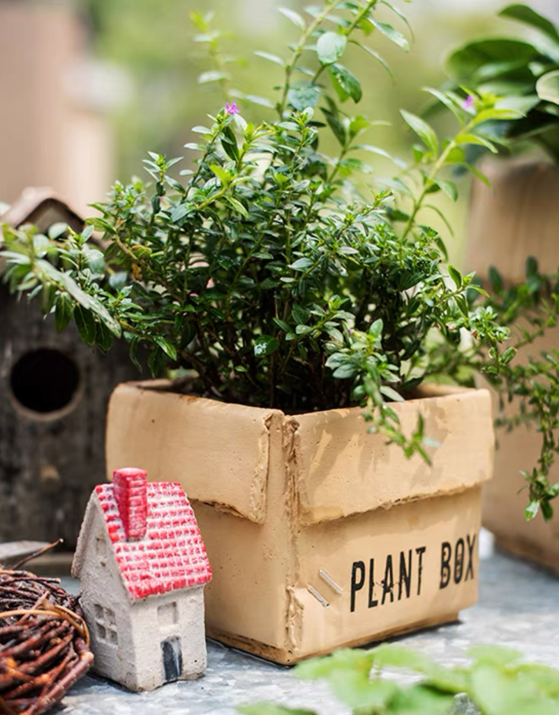 Garden Plant Box