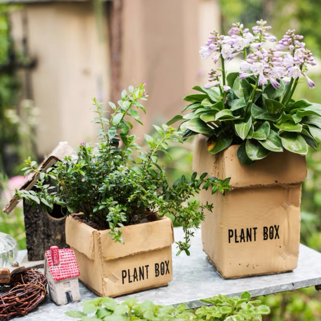 Garden Plant Box