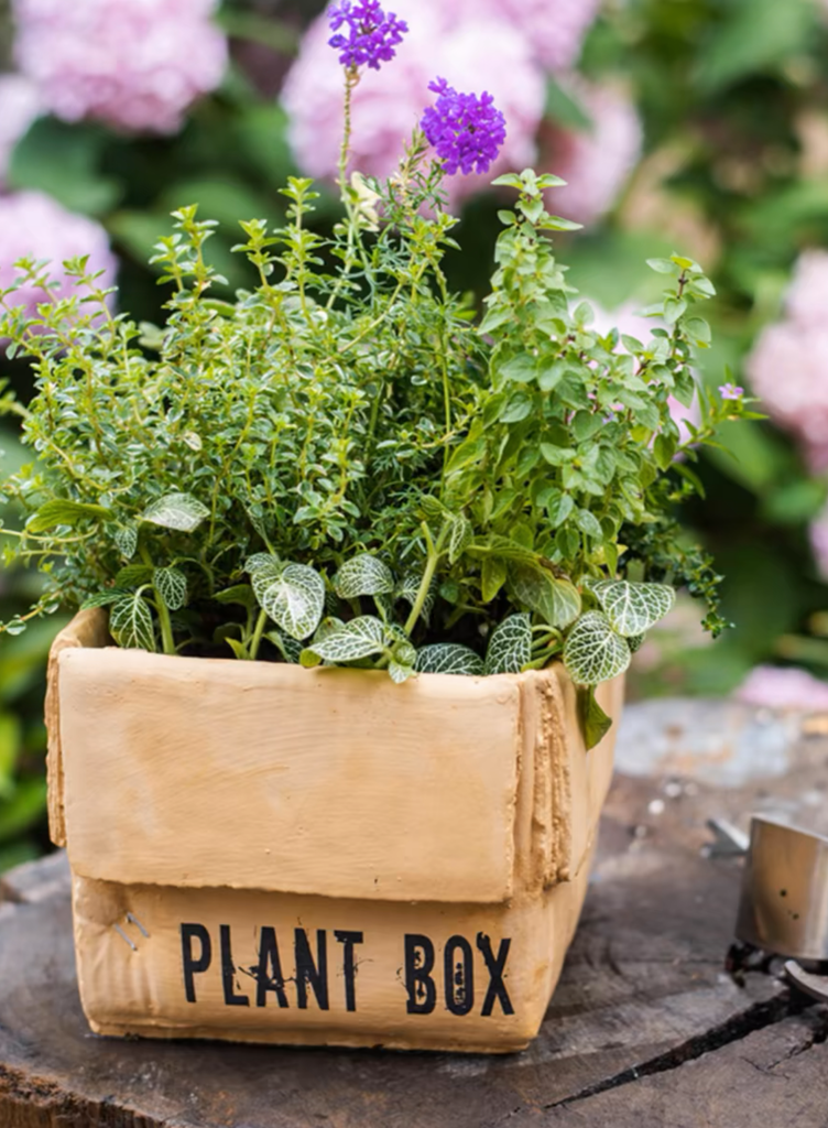 Garden Plant Box