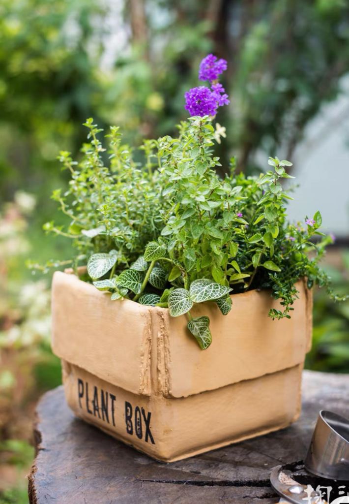 Garden Plant Box