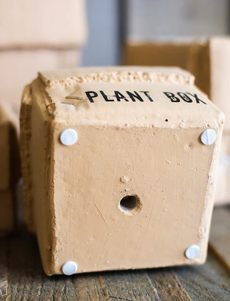 Garden Plant Box