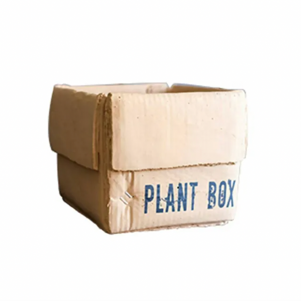 Garden Plant Box