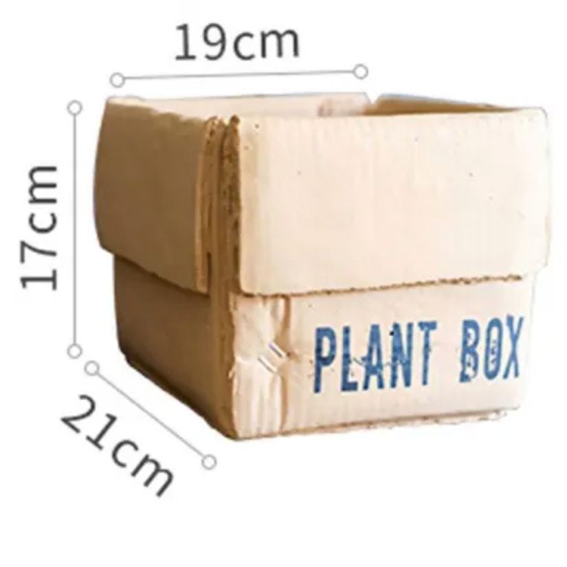 Garden Plant Box