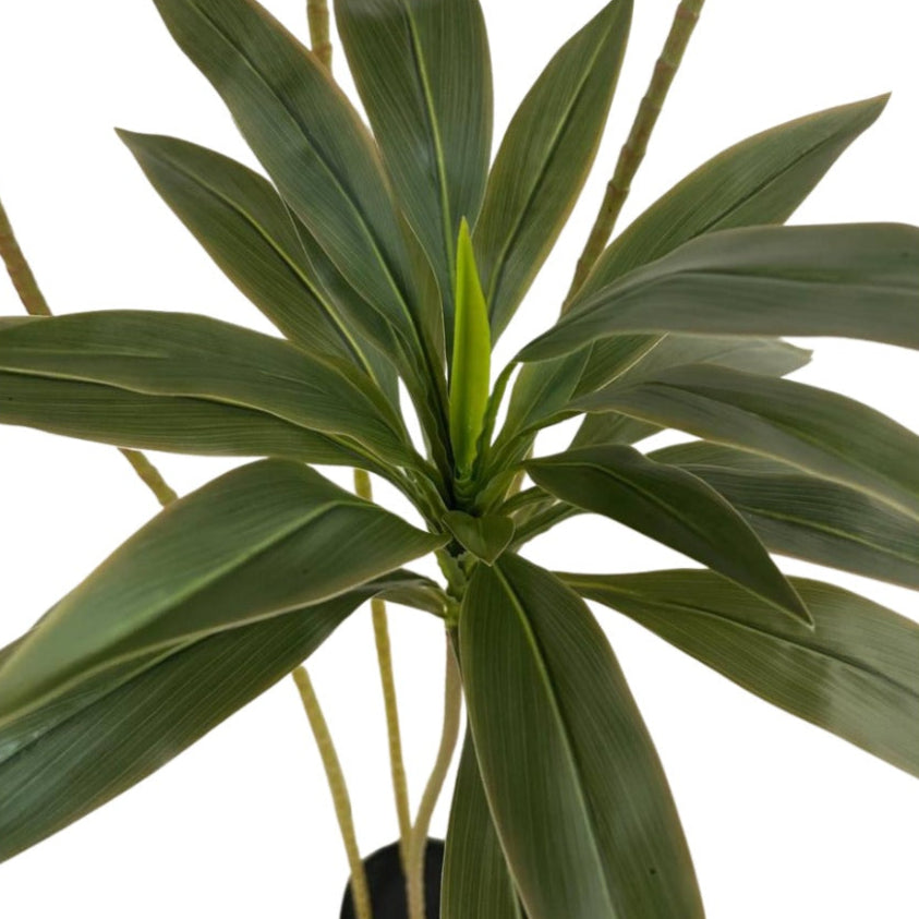 Artificial Green Cordyline Plant in Pot (1.6m)