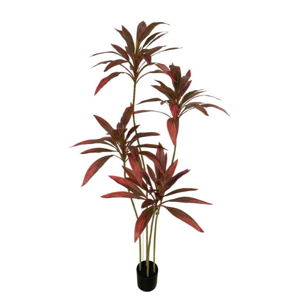 Artificial Red Cordyline Plant in Pot (1.6m)