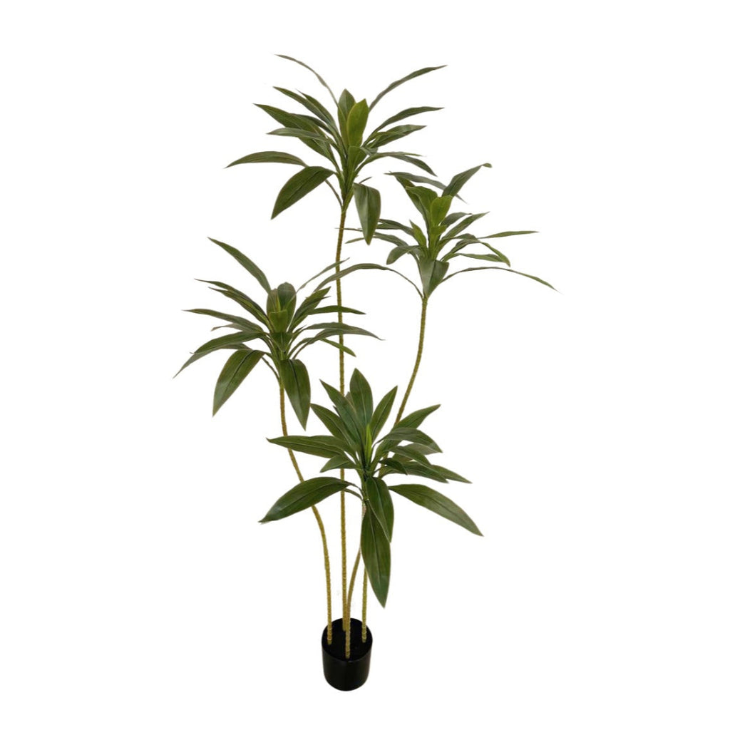 Artificial Green Cordyline Plant in Pot (1.6m)