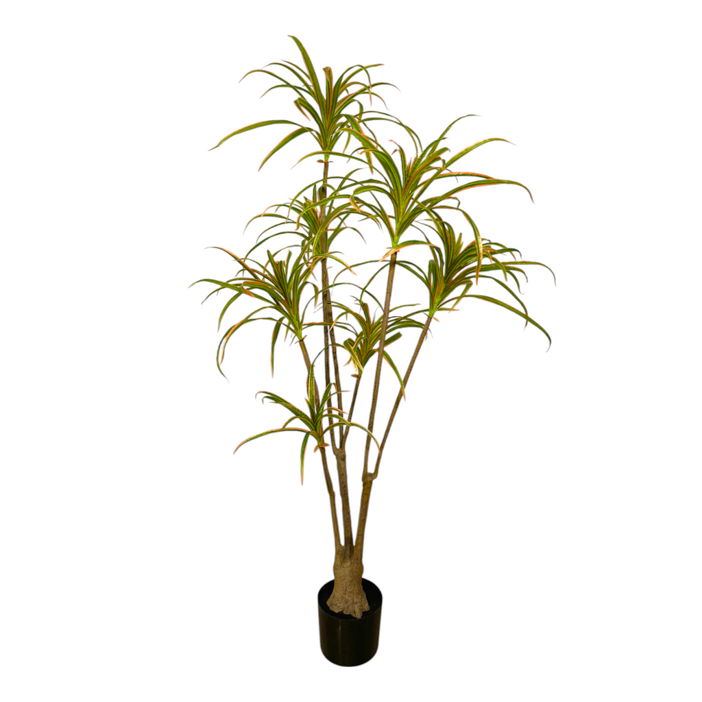 Artificial Dracaena Marginata Variegata (1.4mH)