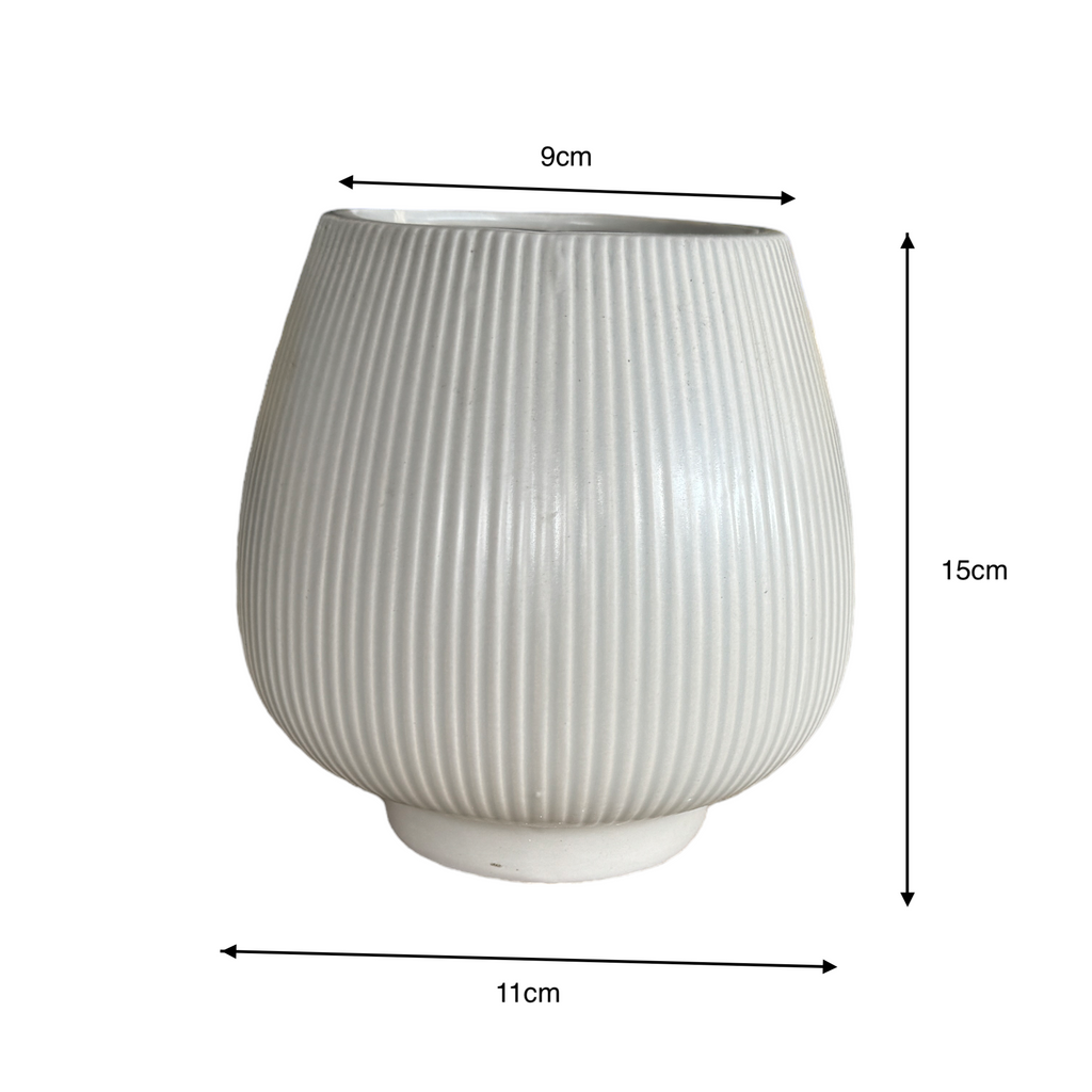 Luxe Ceramic Flower Pot