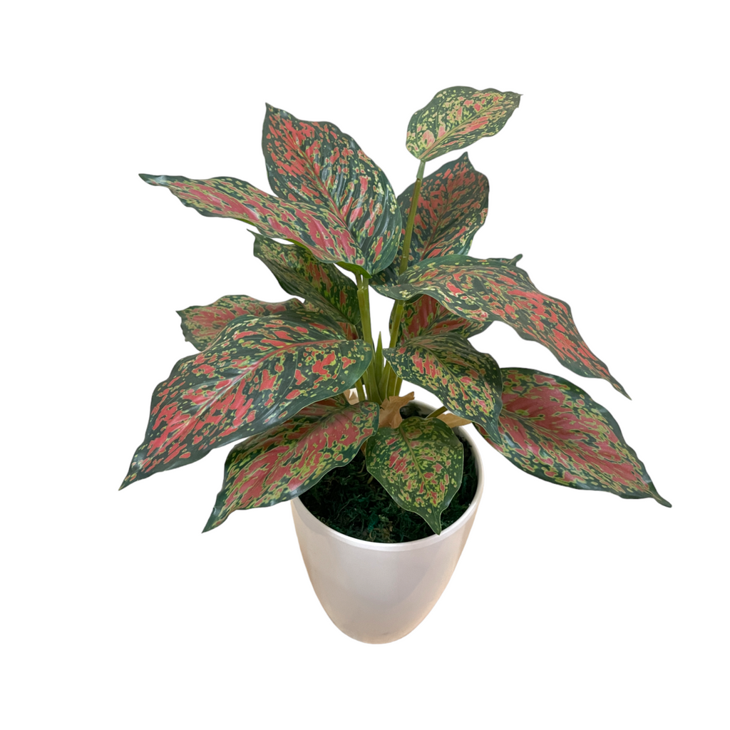 Artificial Aglaonema Red in Pot (0.4m)