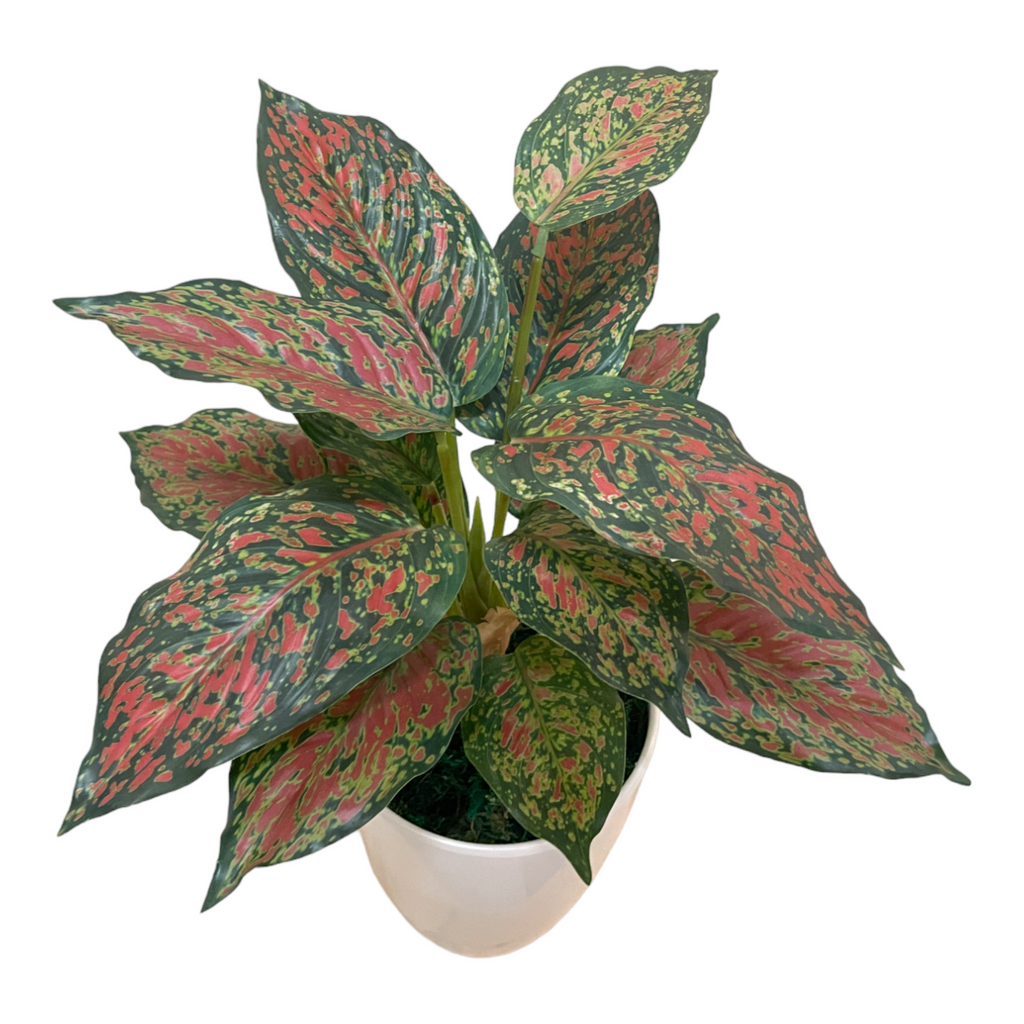 Artificial Aglaonema Red in Pot (0.4m)