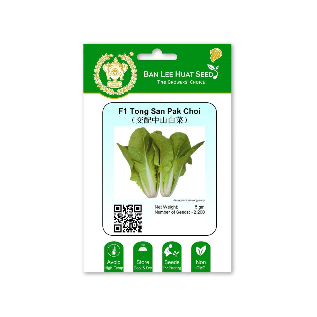 BAN LEE HUAT Seed HD05 F1 Hybrid Tong San Pak Choi – Noah Garden Centre