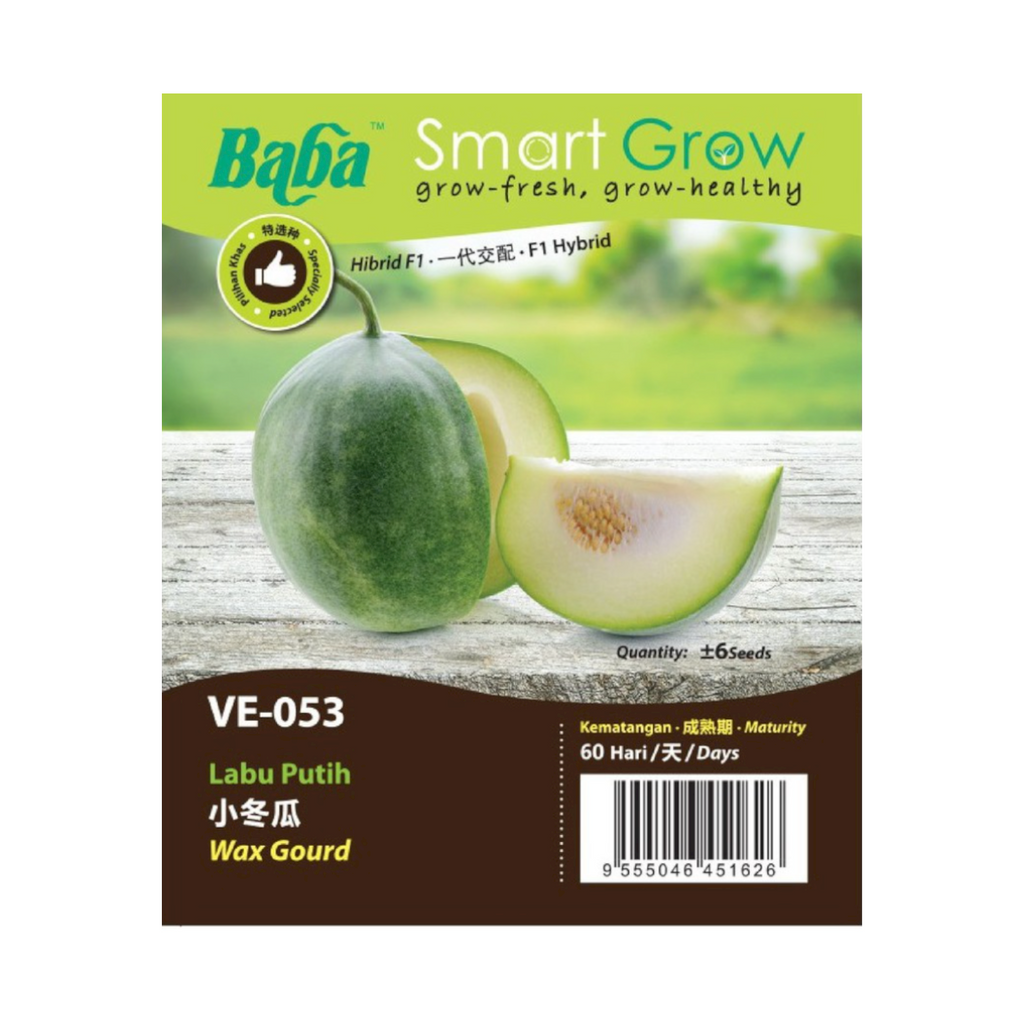 BABA Seed VE-053 Wax Gourd